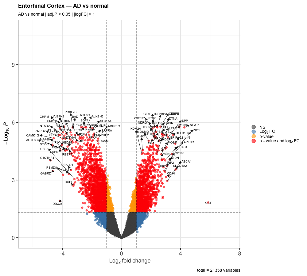 R plot
